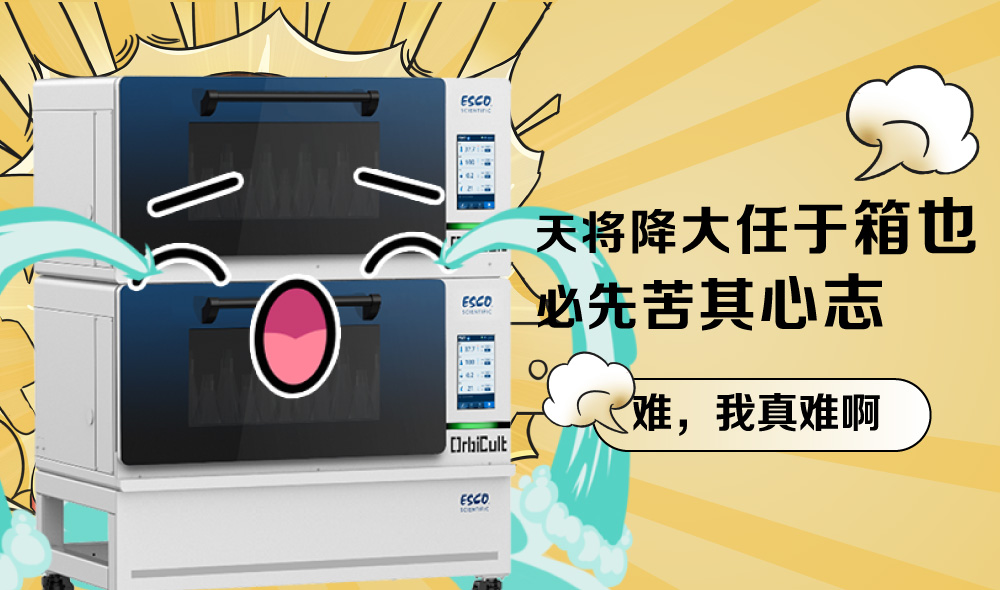 这届科研er真难带!!!---全温振荡培养箱大型崩溃现场