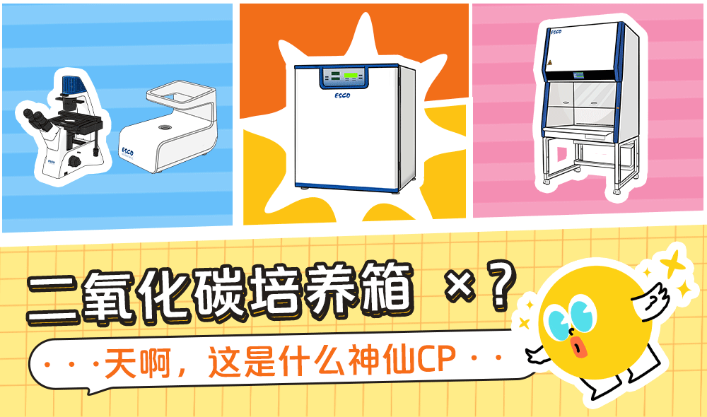 二氧化碳培养箱这些CP，谁看了不说一句好配！