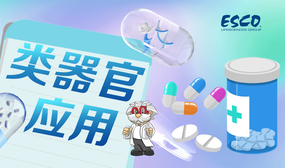 类器官技术：生物医学的革新力量